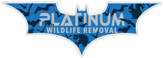Wildlife Removal Ionia County
