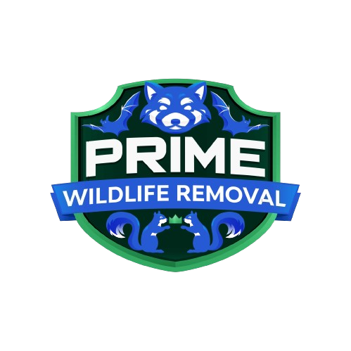 Wildlife Removal Ionia County